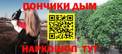 крисы Пенза