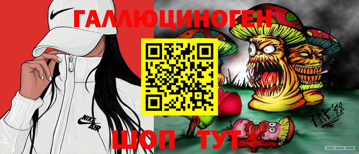 купить наркотики сайты  Вход с VPN  Северск  Псилоцибиновые грибы MAGIC MUSHROOMS 
