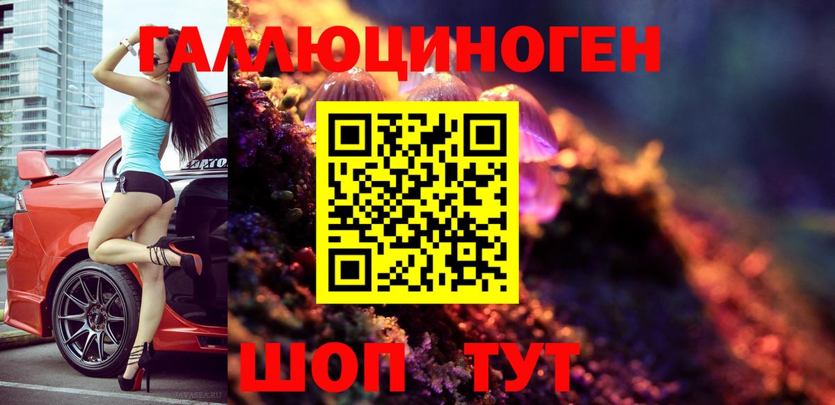 Галлюциногенные грибы Cubensis Северск